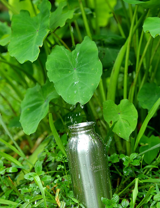 Rdrops Stainless Steel 316 Water Bottle